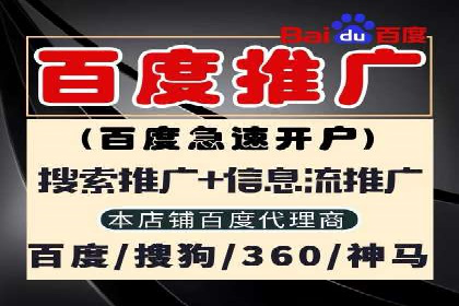 SEM搜索引擎优化策略解析与应用案例